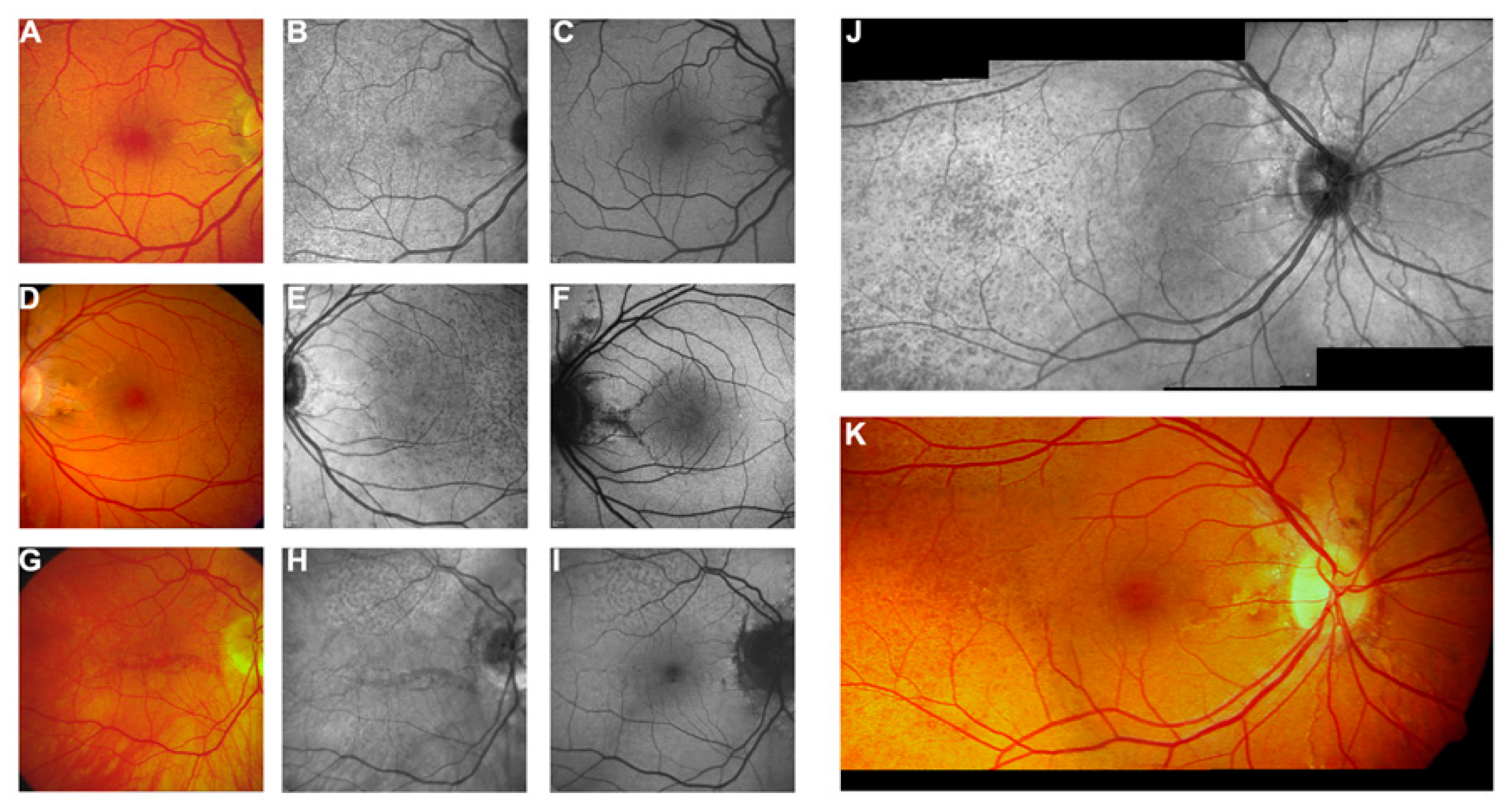 Vision 08 00010 g001