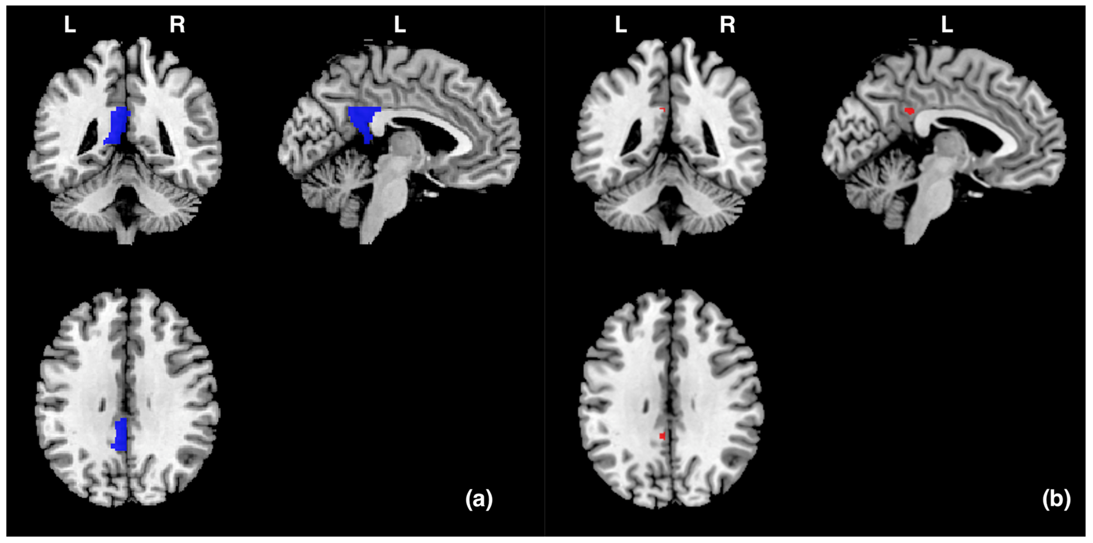 Vision 08 00018 g002