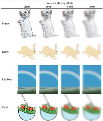 Vision 08 00018 i003 Vision 08 00018 i003