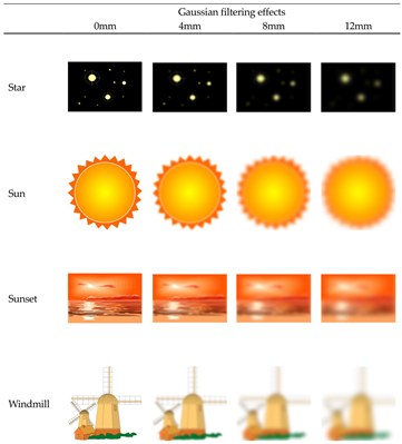 Vision 08 00018 i004 Vision 08 00018 i004