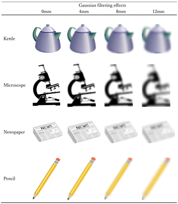 Vision 08 00018 i007 Vision 08 00018 i007