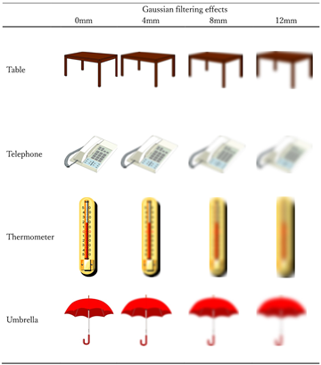 Vision 08 00018 i008 Vision 08 00018 i008