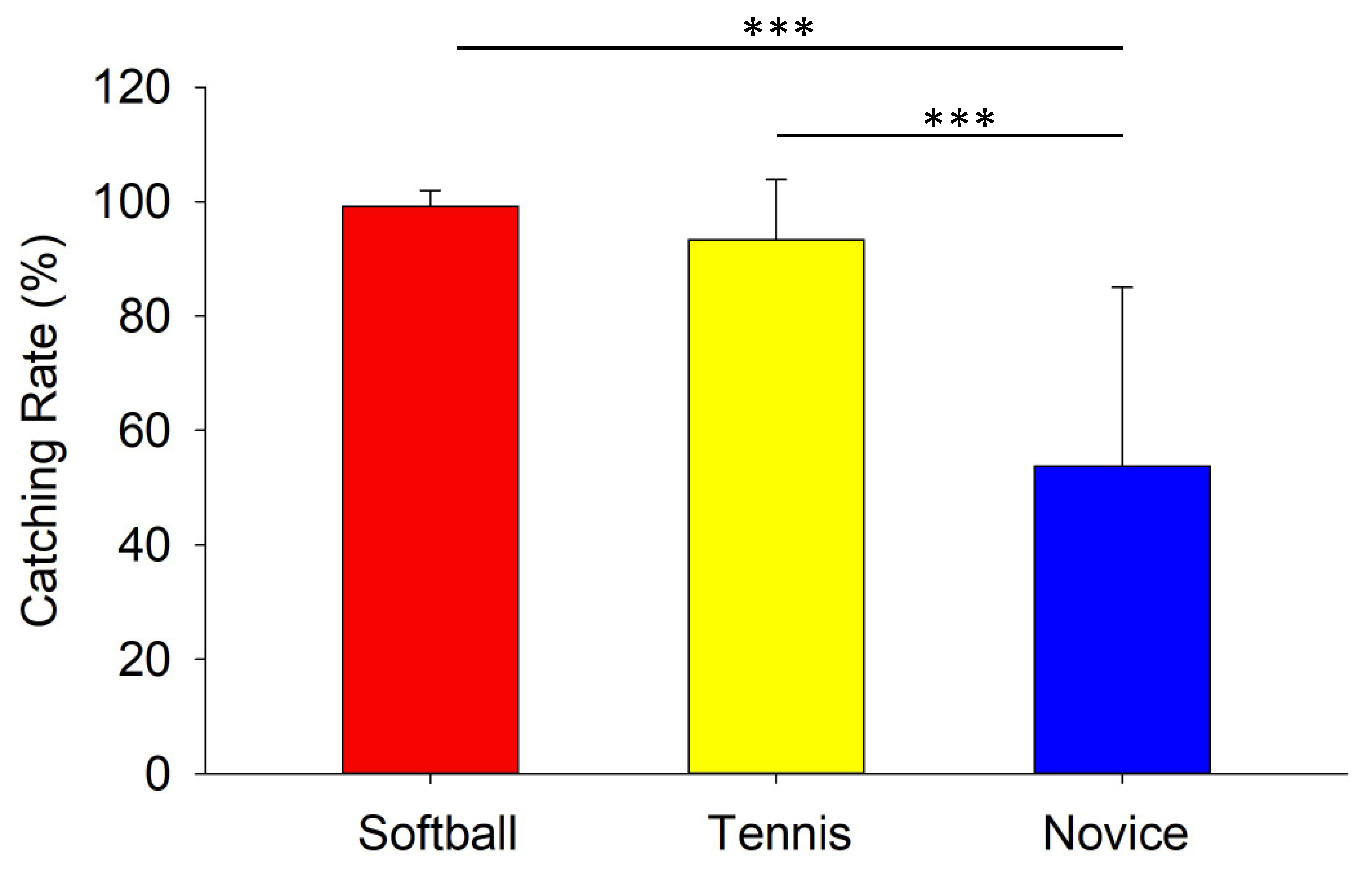 Vision 08 00020 g003