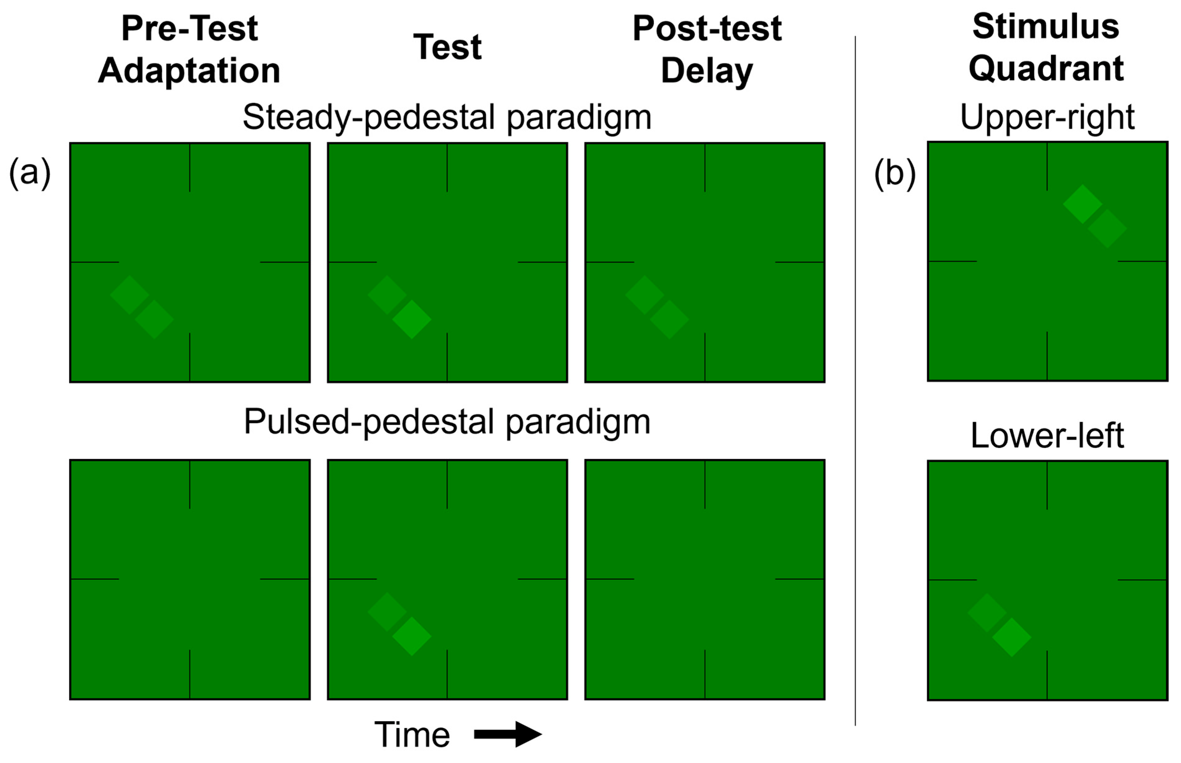 Vision 08 00028 g003
