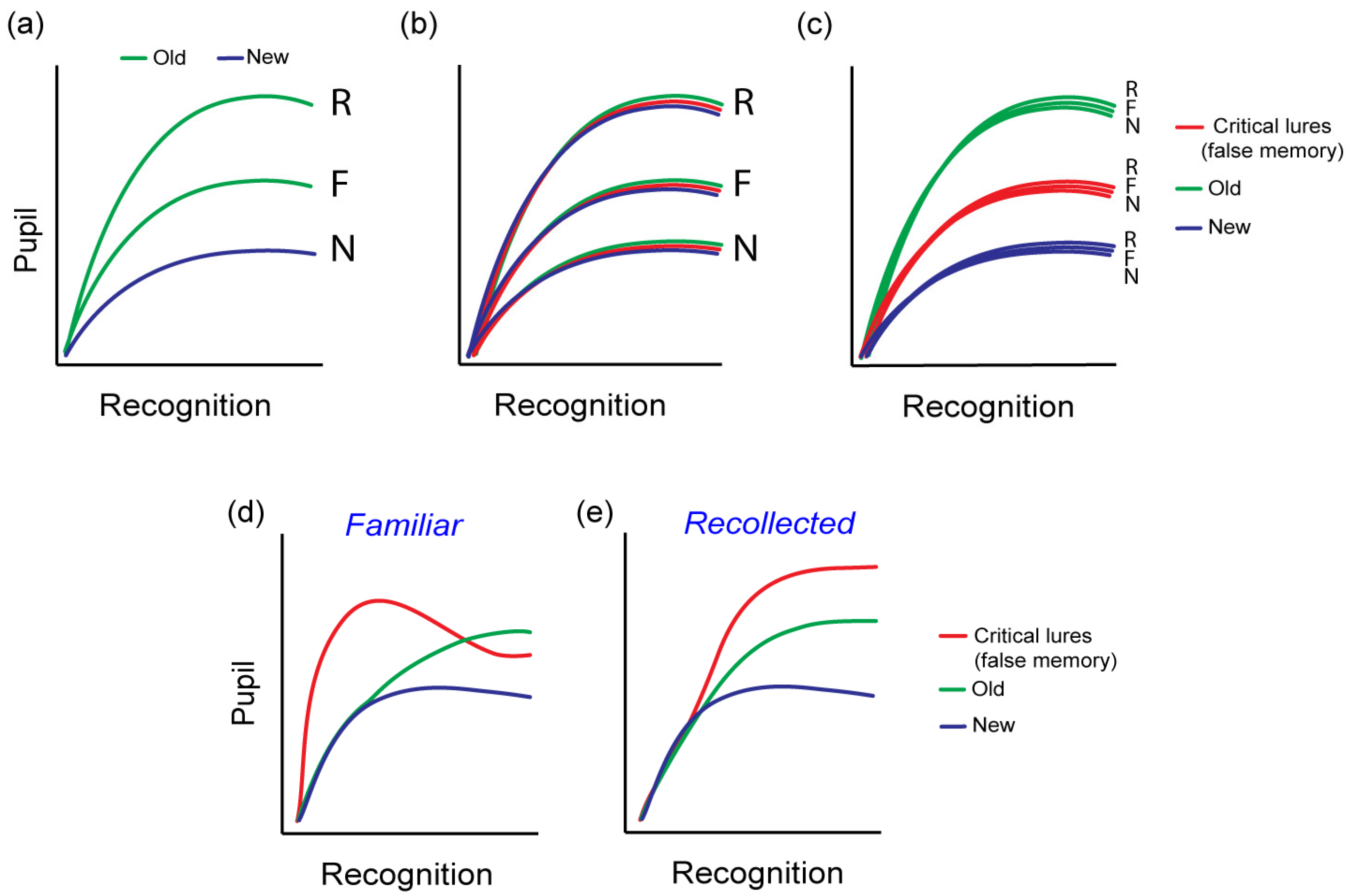 Vision 08 00037 g002