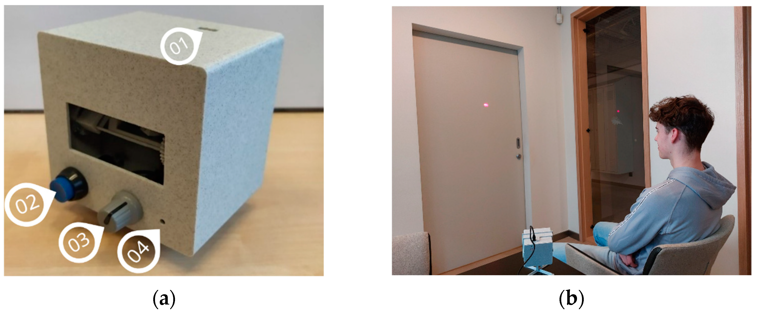 Vision 08 00040 g002