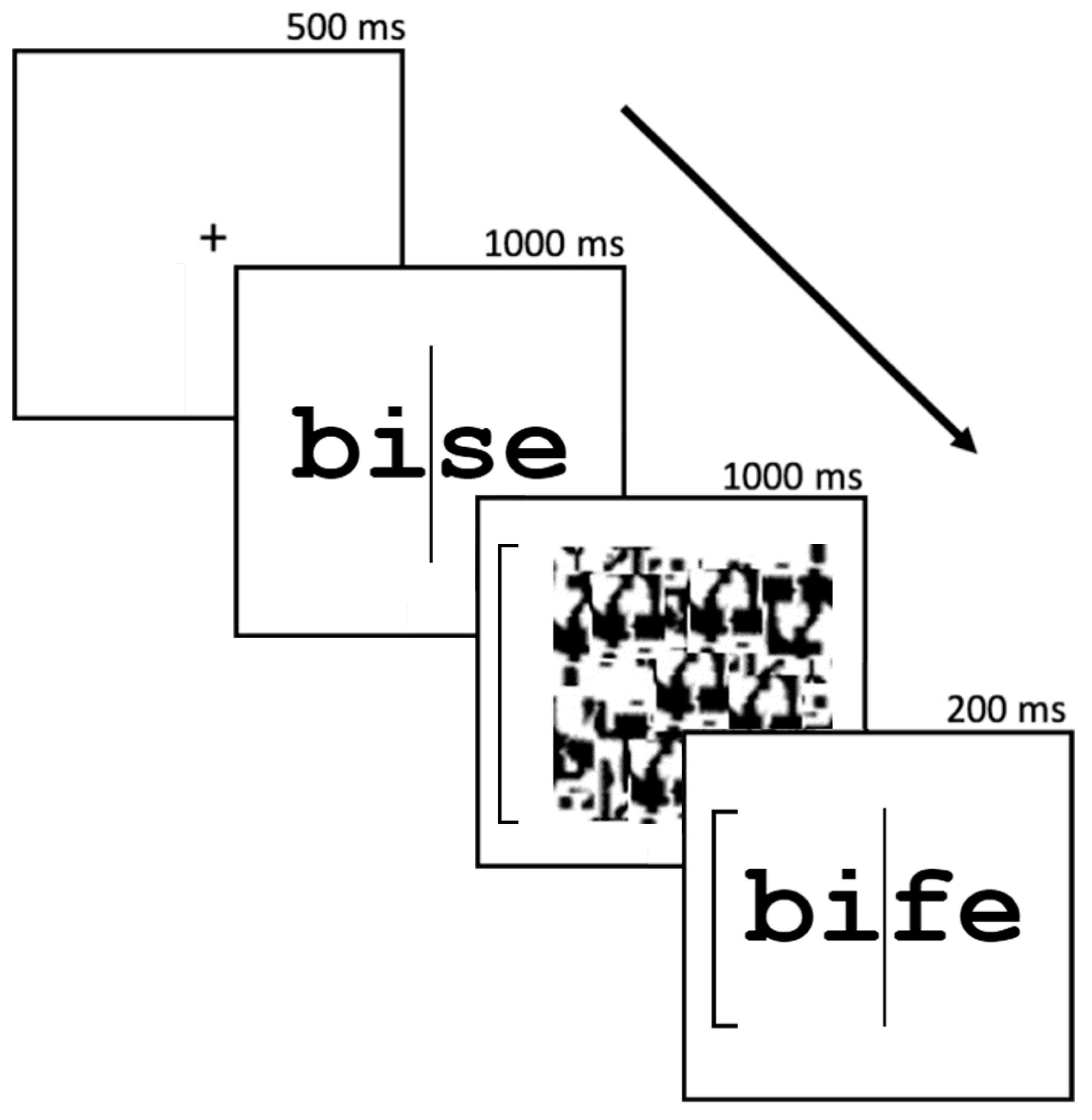 Vision 08 00041 g001 Vision 08 00041 g001