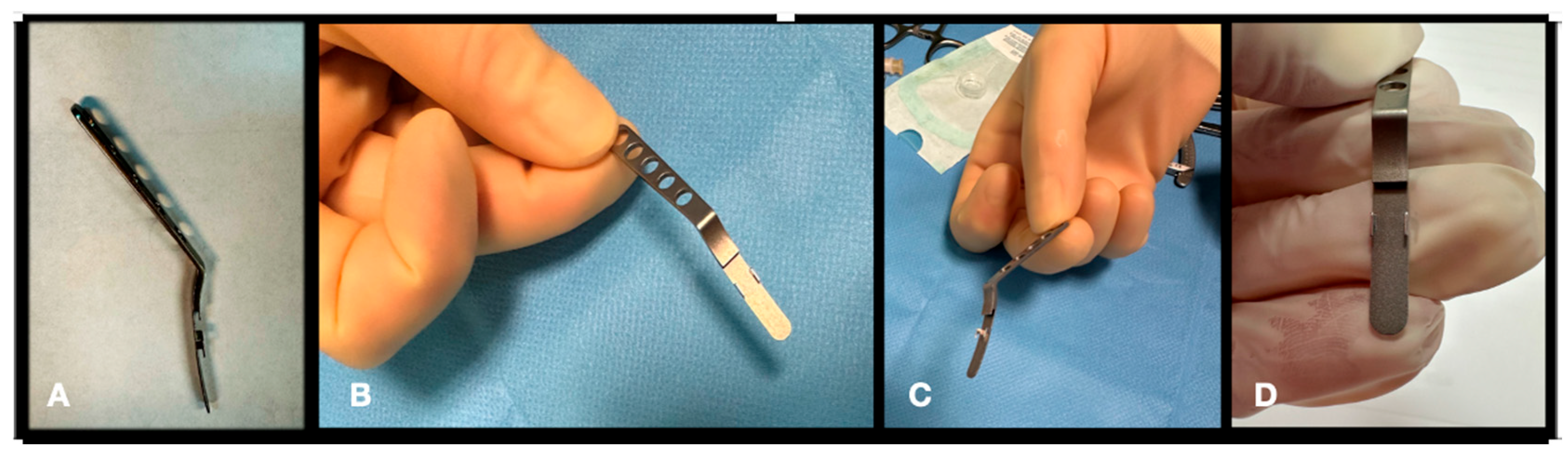 Vision 08 00042 g003