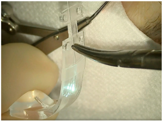 Vision 08 00042 g007