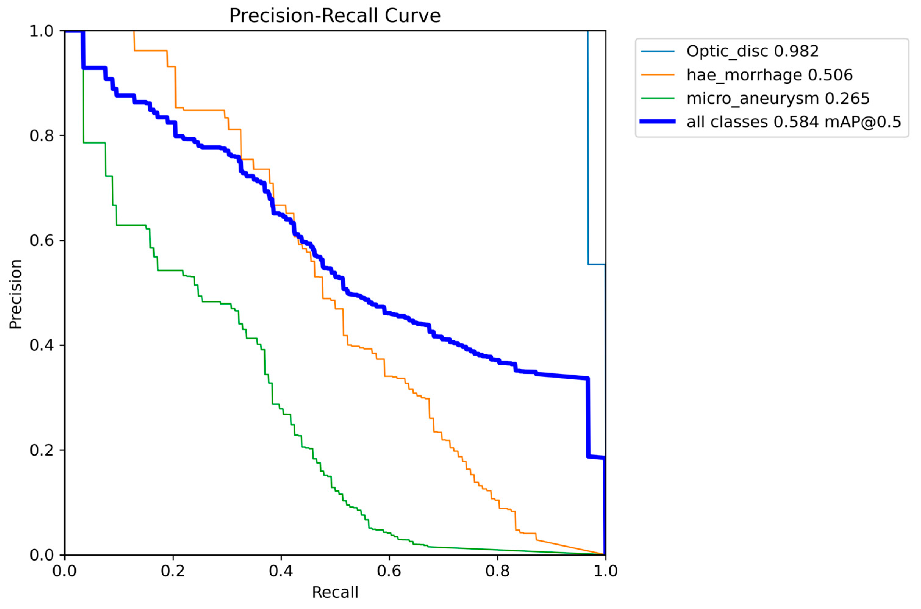Vision 08 00048 g004