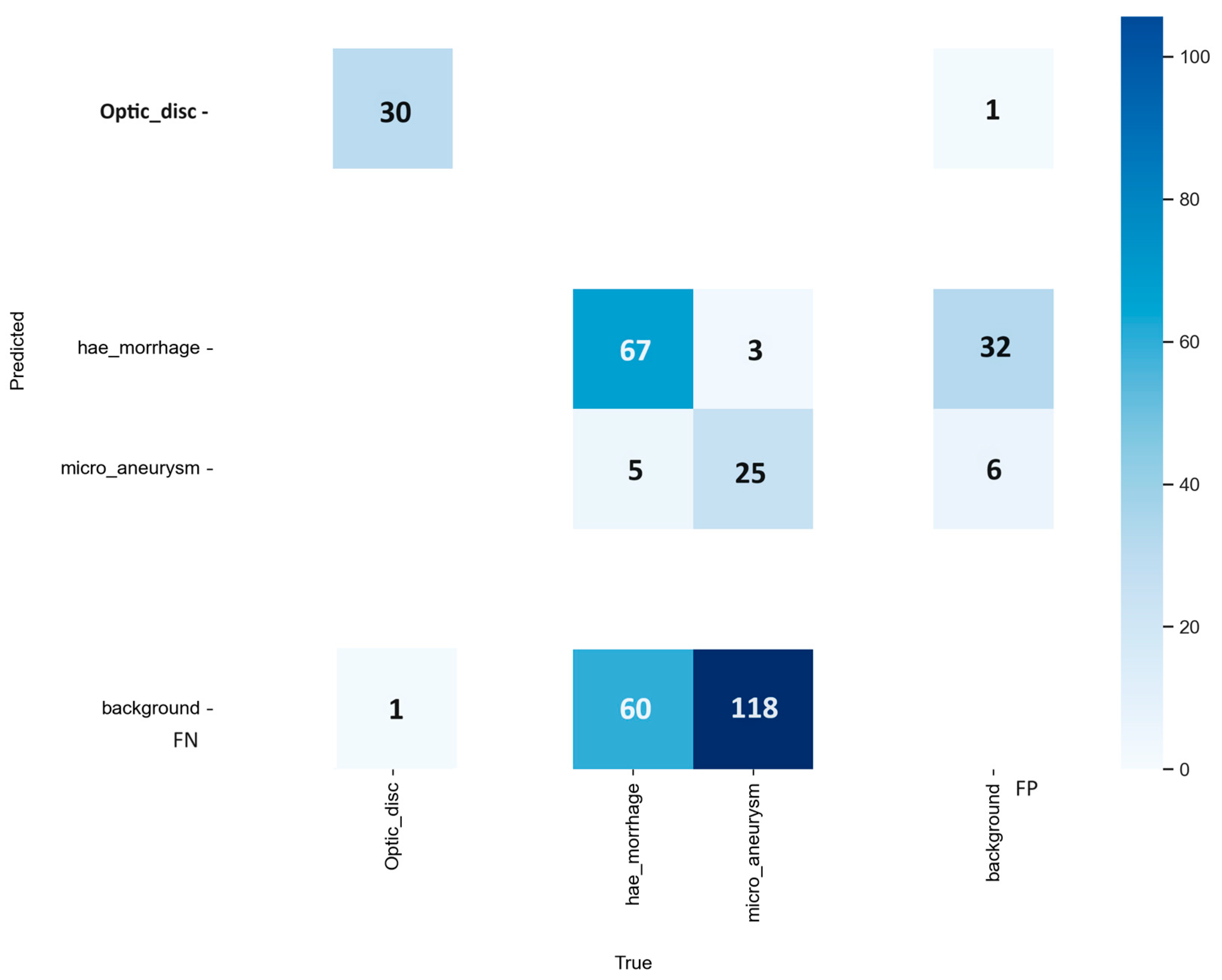 Vision 08 00048 g005
