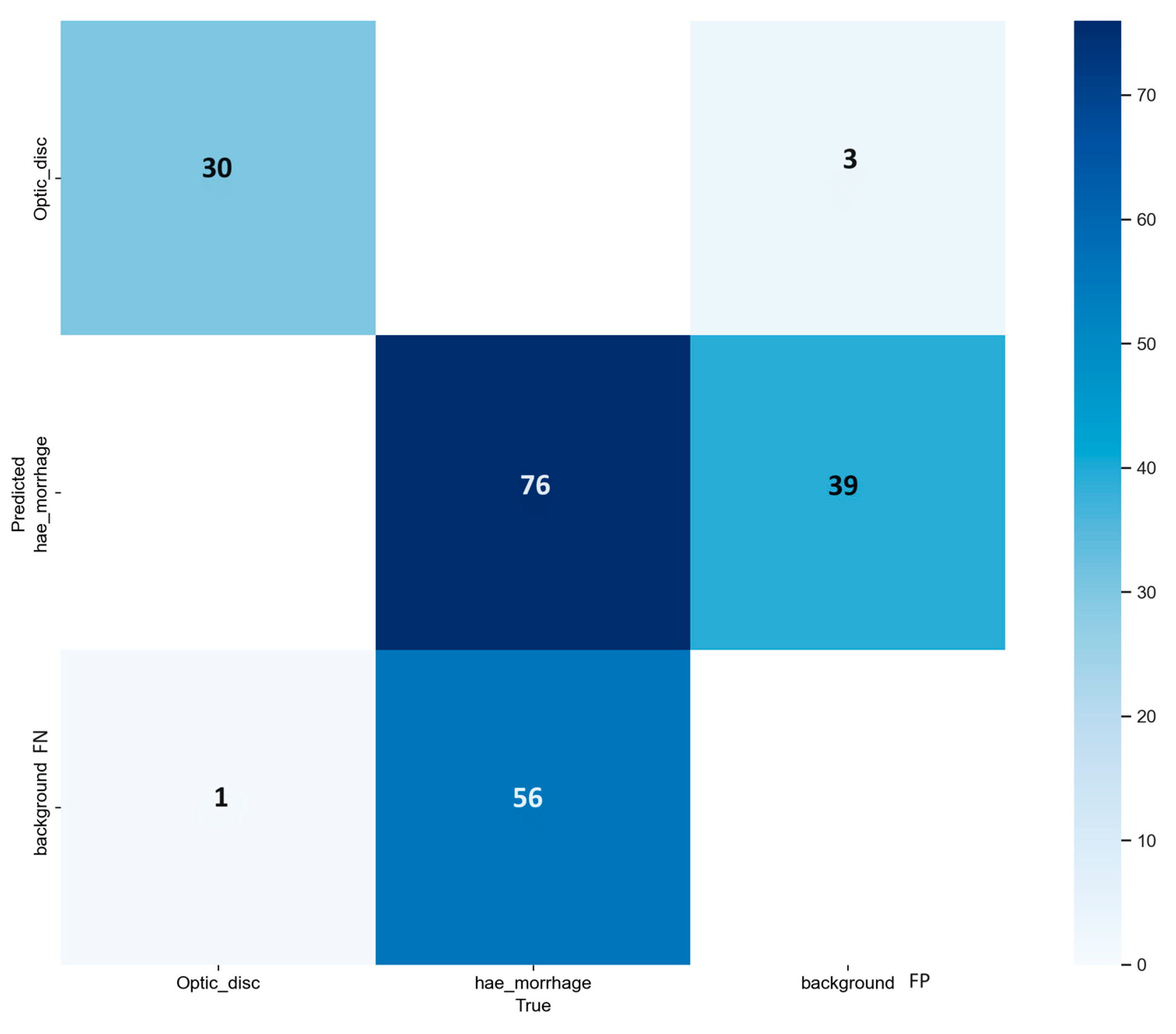 Vision 08 00048 g008