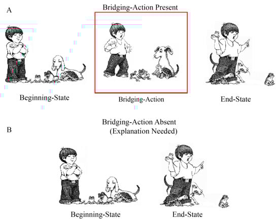 Vision 08 00050 g004