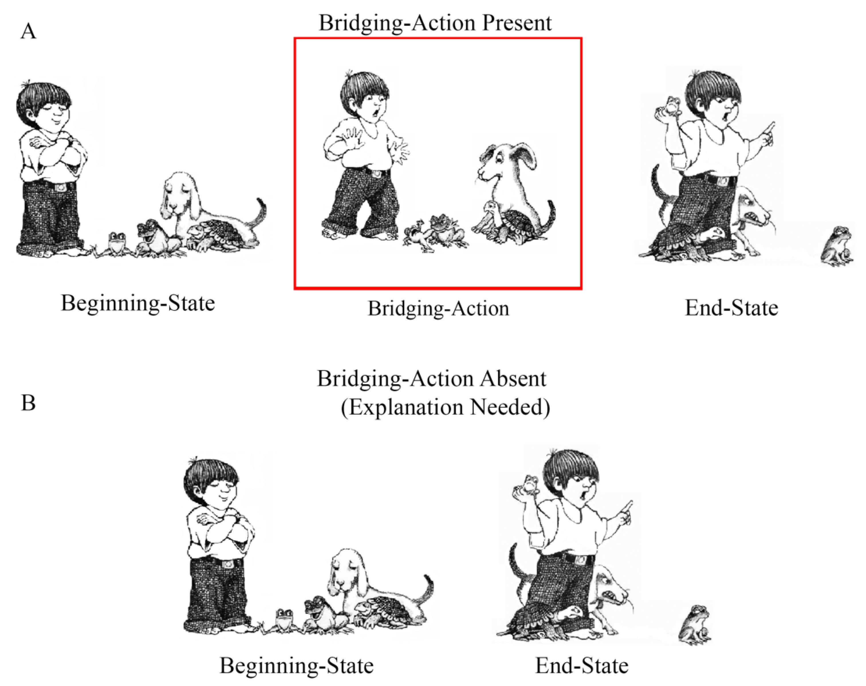 Vision 08 00050 g004