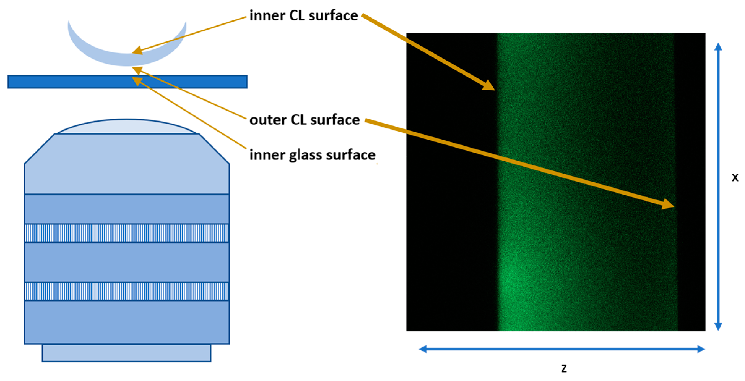 Vision 08 00055 g001
