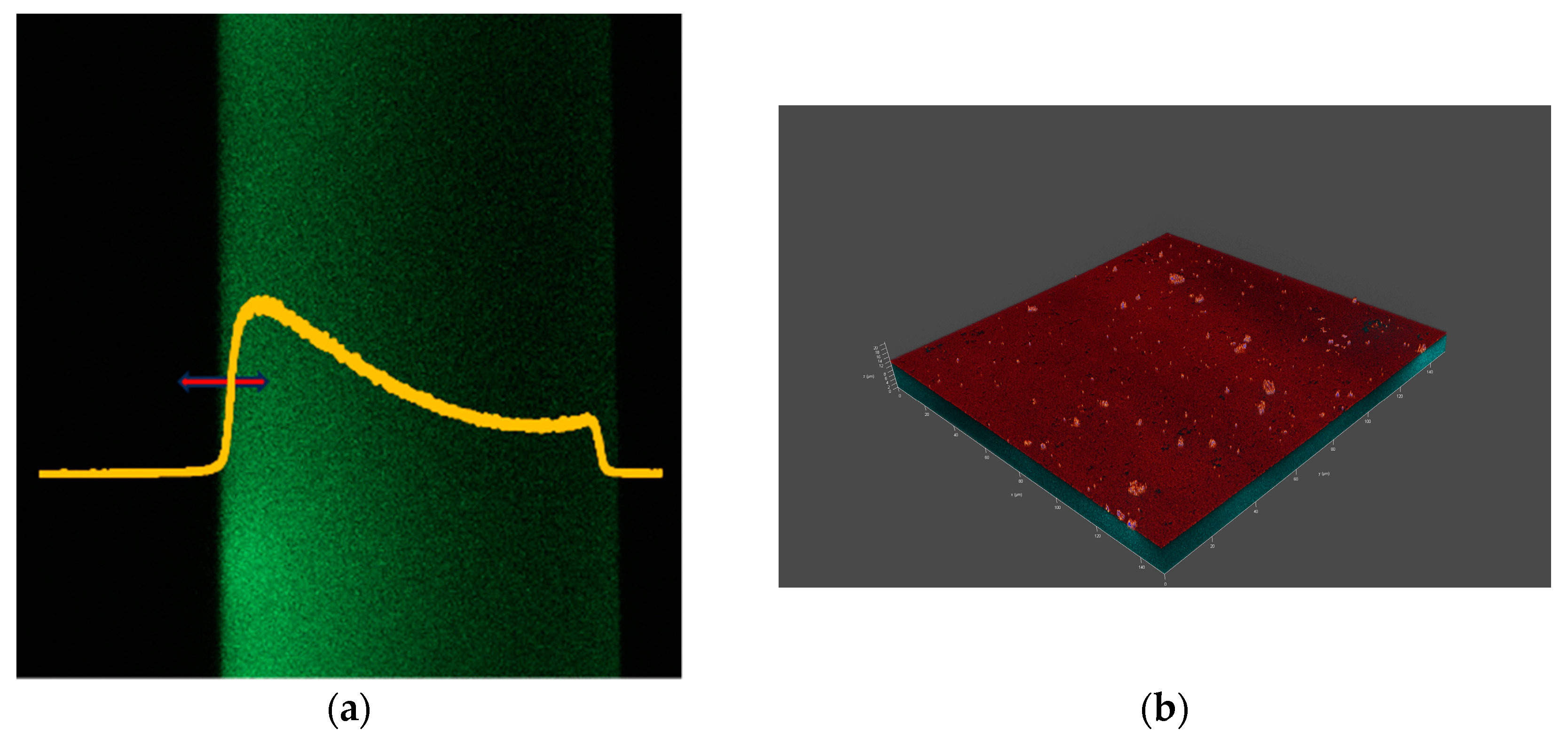 Vision 08 00055 g004