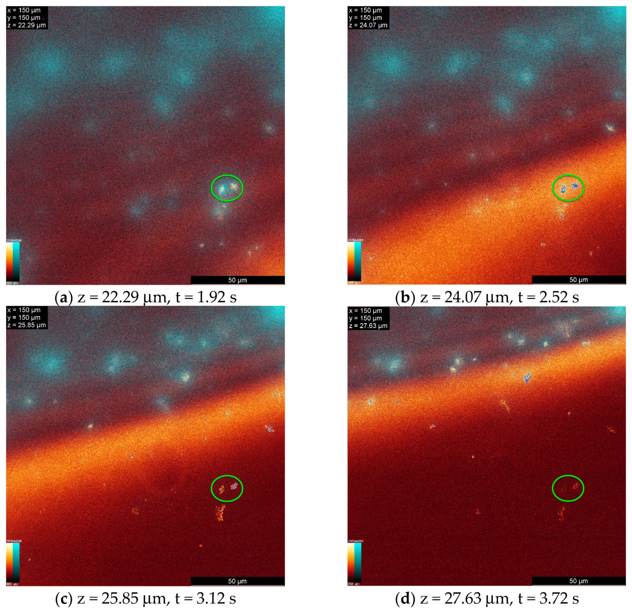 Vision 08 00055 g006