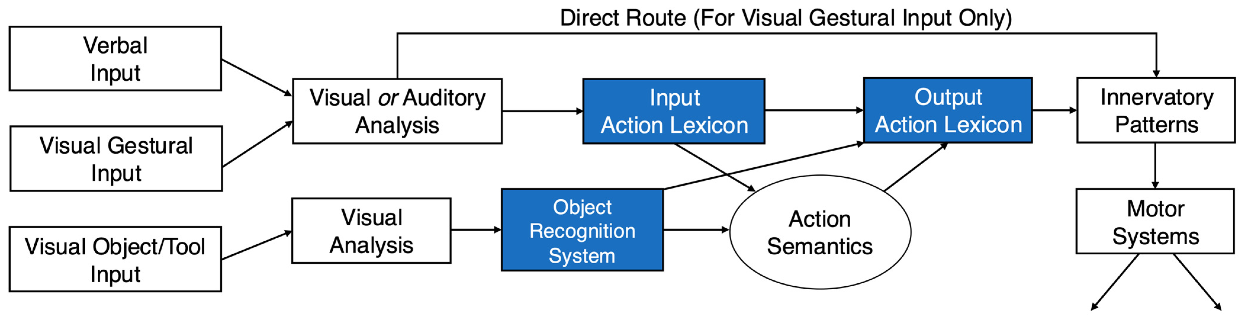 Vision 08 00058 g002