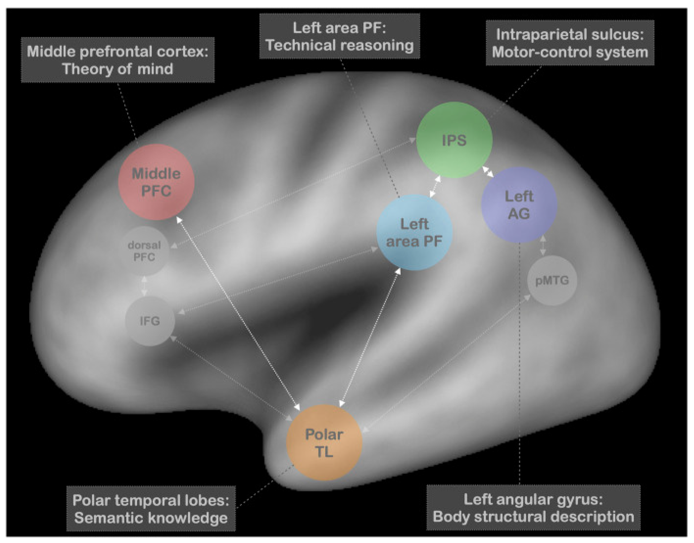 Vision 08 00058 g005