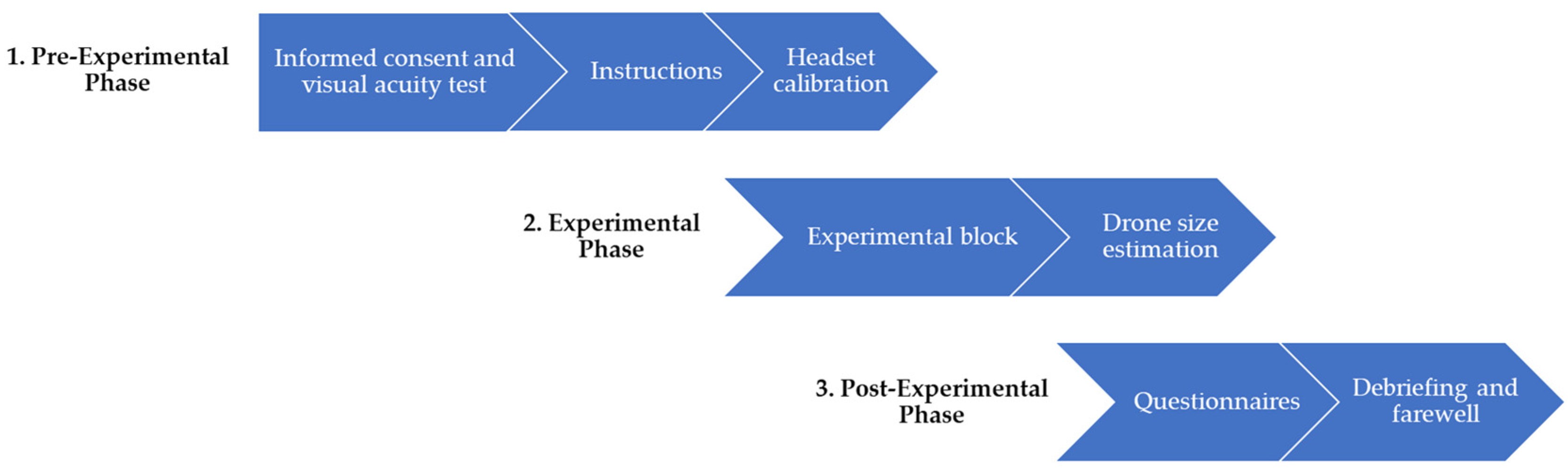 Vision 08 00059 g003