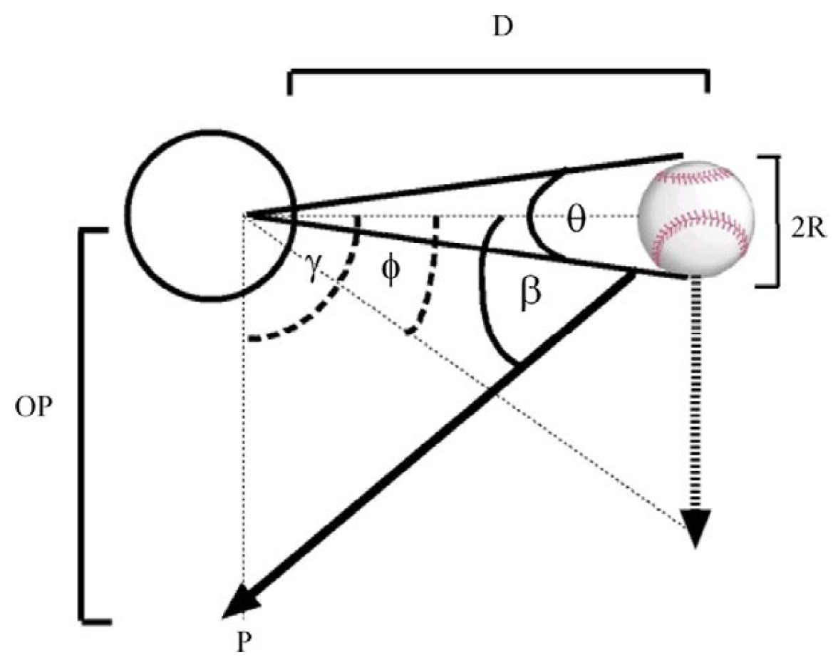 Vision 09 00008 g001 Vision 09 00008 g001