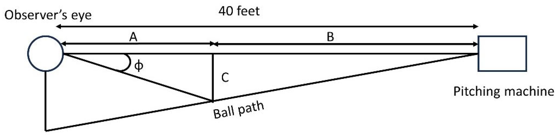Vision 09 00008 g004 Vision 09 00008 g004