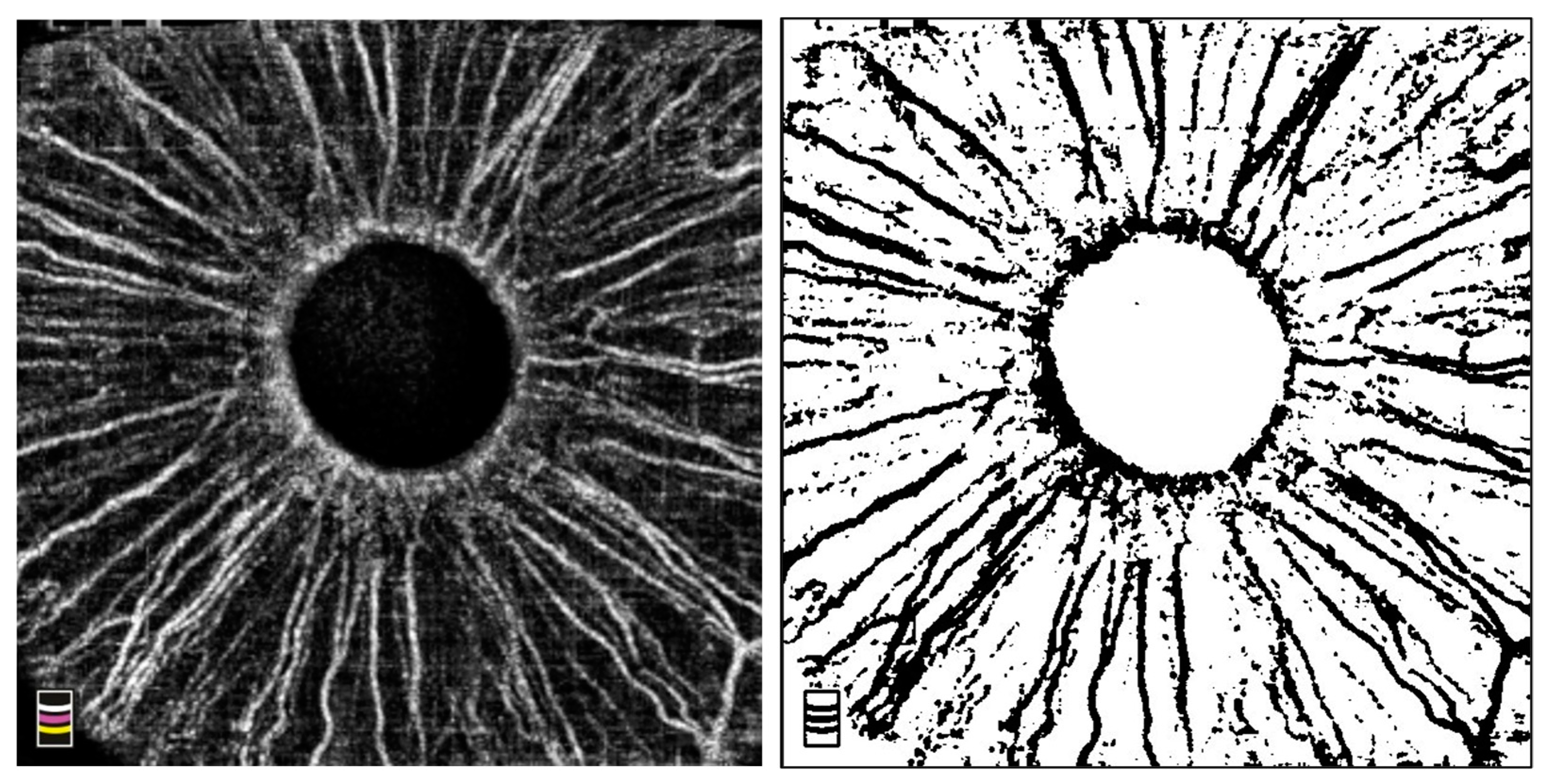 Vision 09 00021 g001