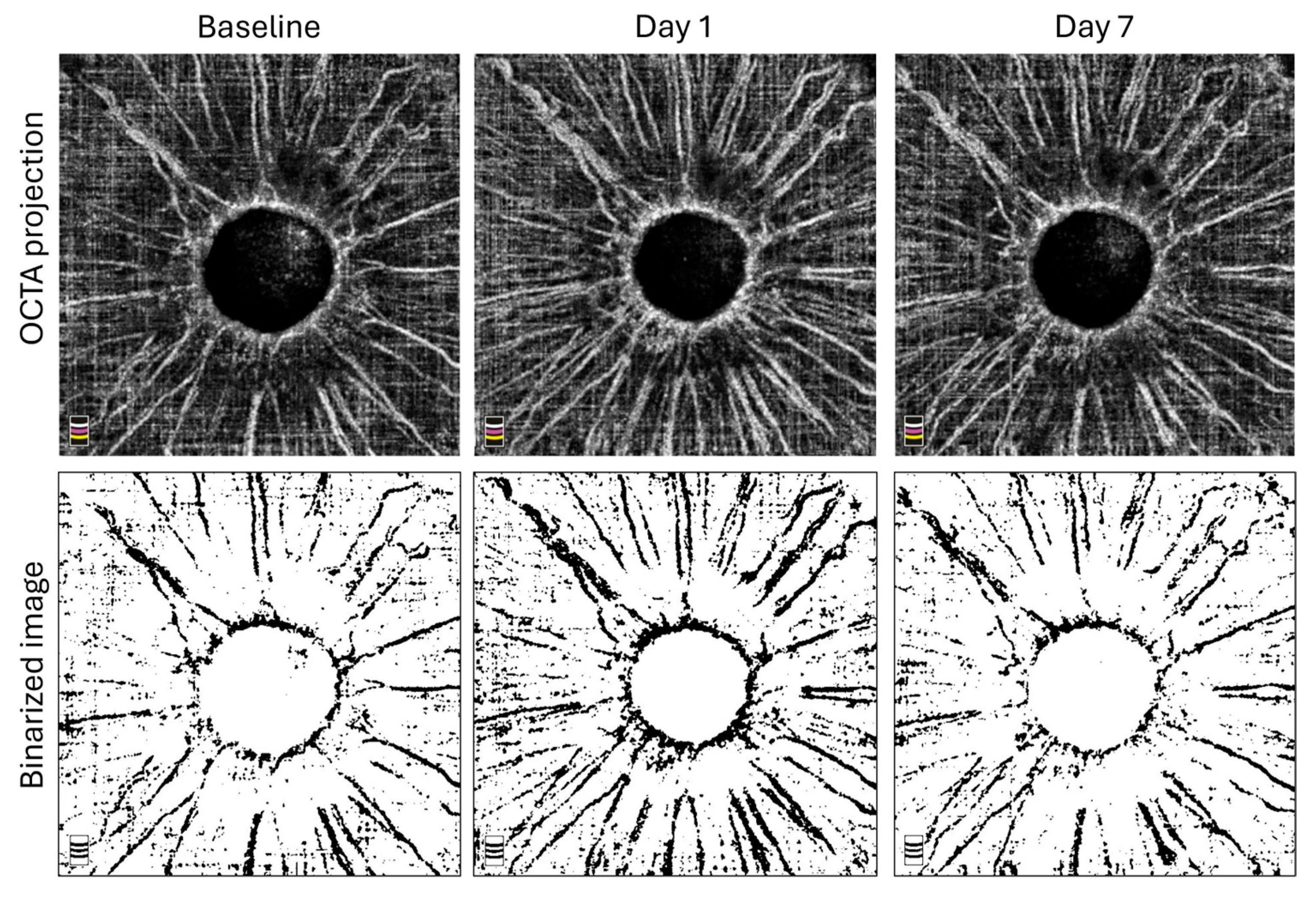 Vision 09 00021 g002