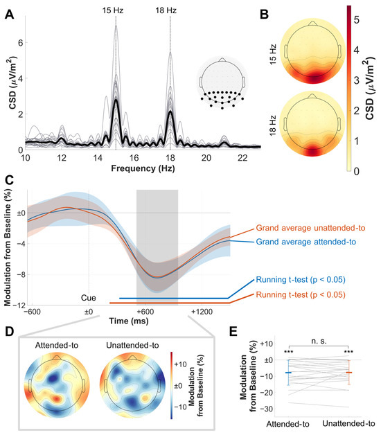 Vision 09 00028 g002