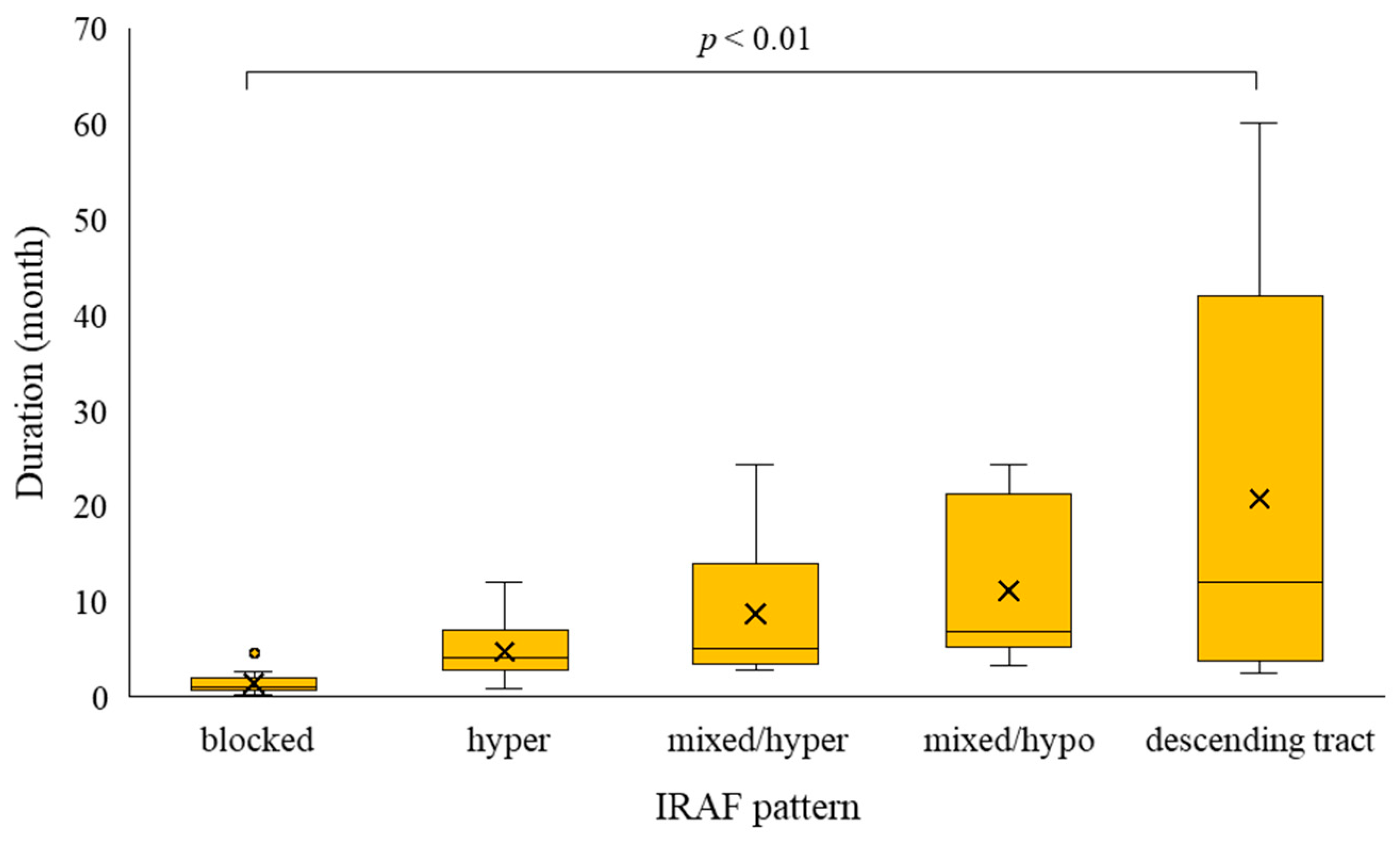 Vision 09 00038 g002b