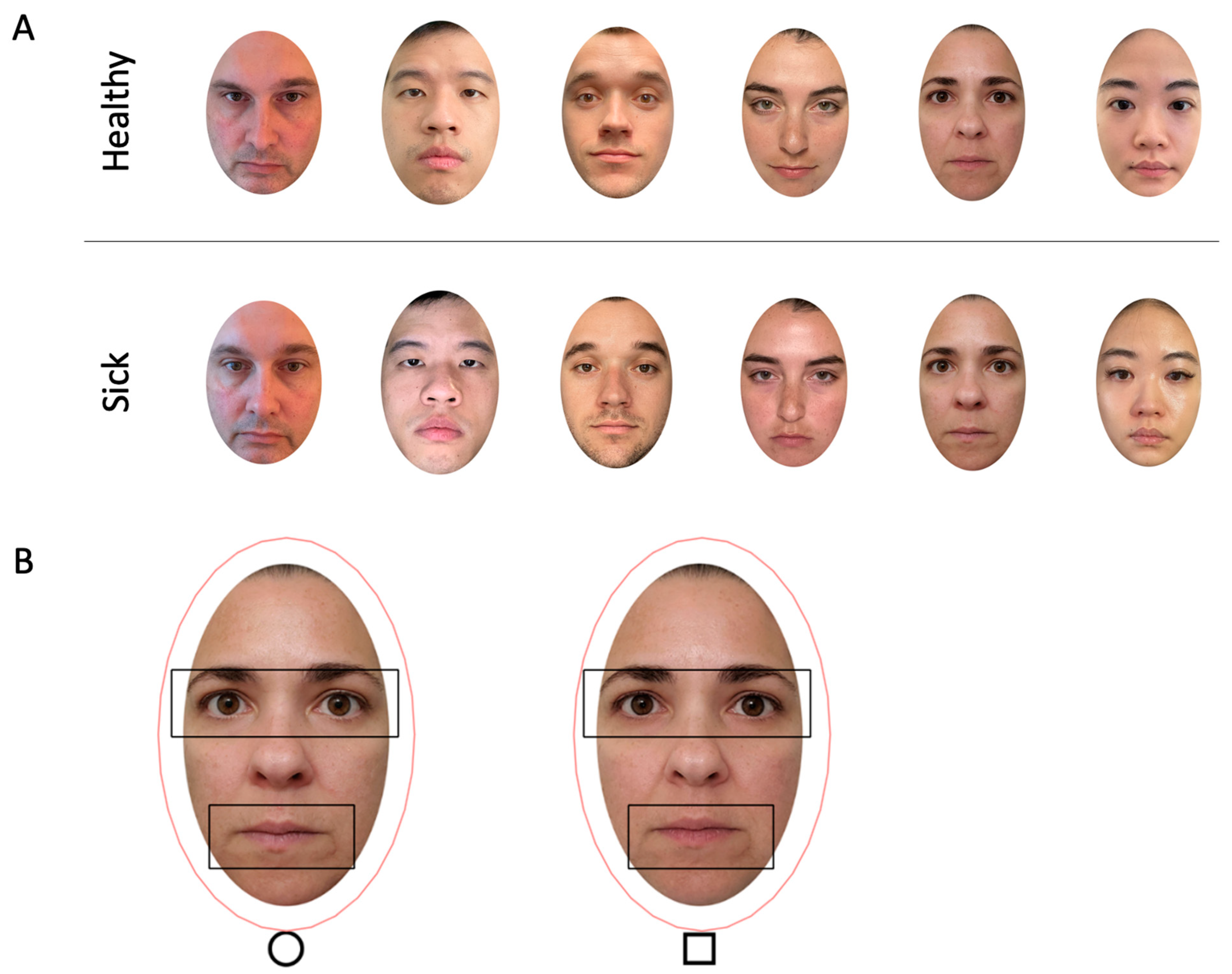 Vision 09 00039 g001