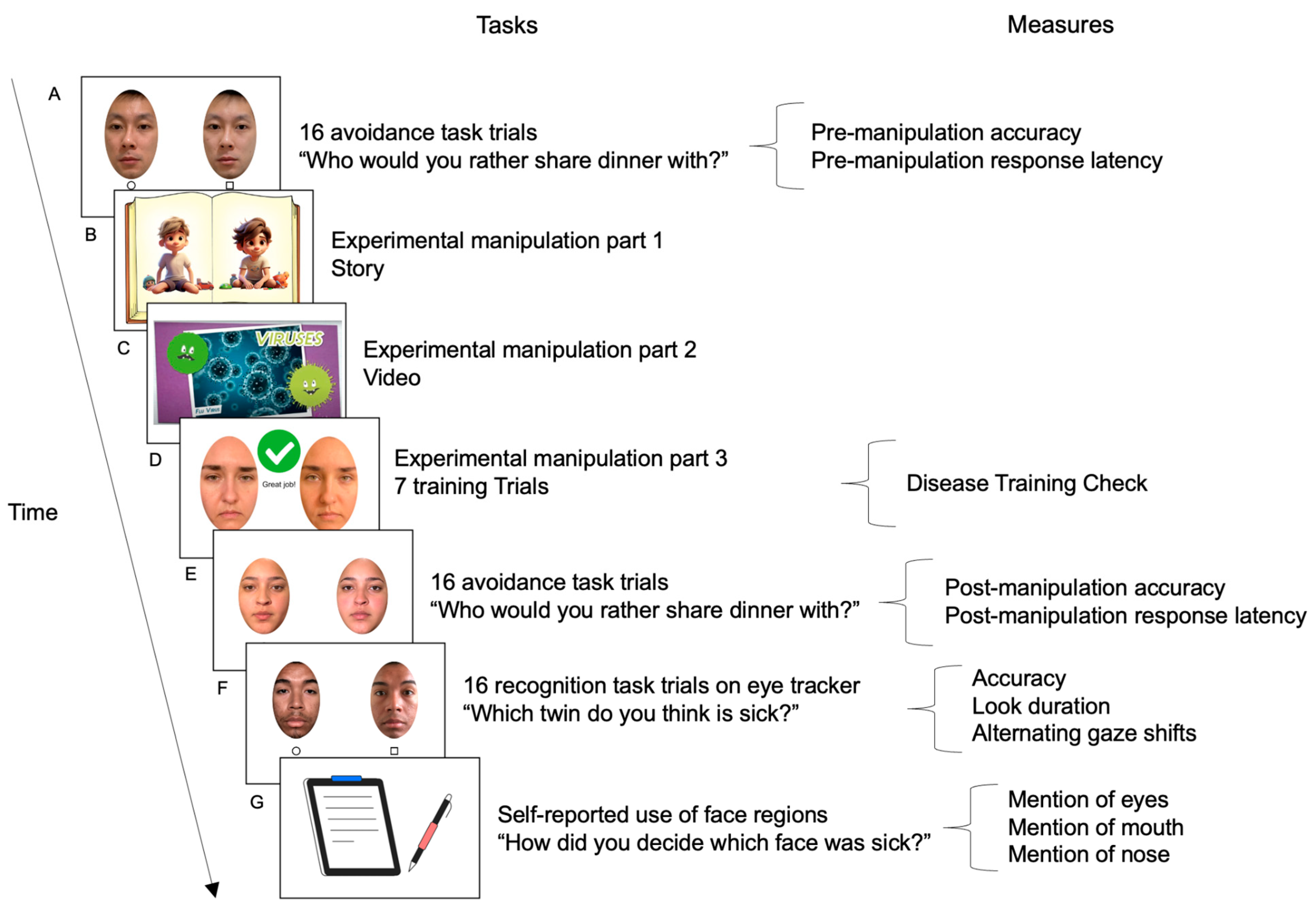 Vision 09 00039 g002