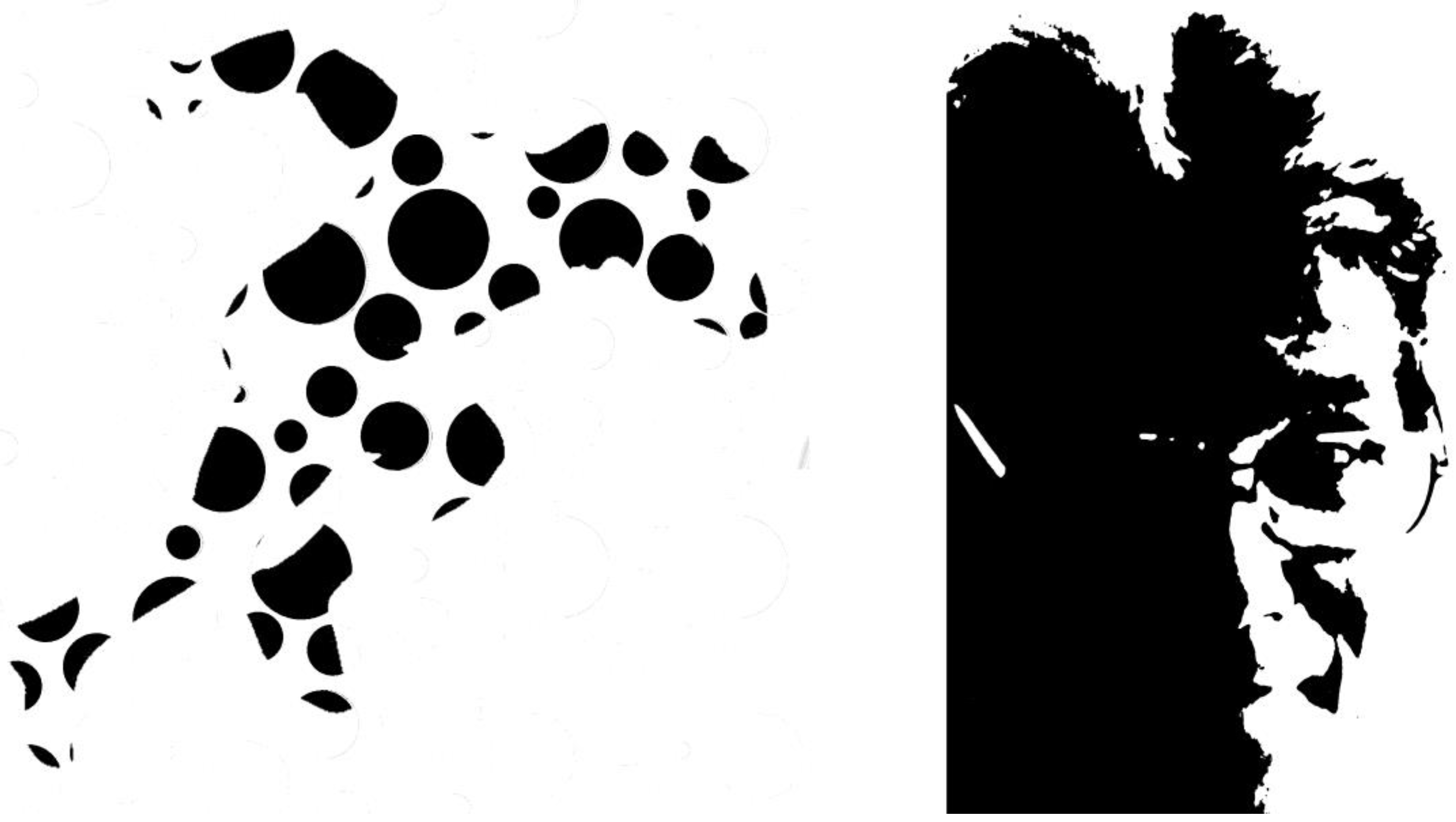 Vision 09 00047 g003