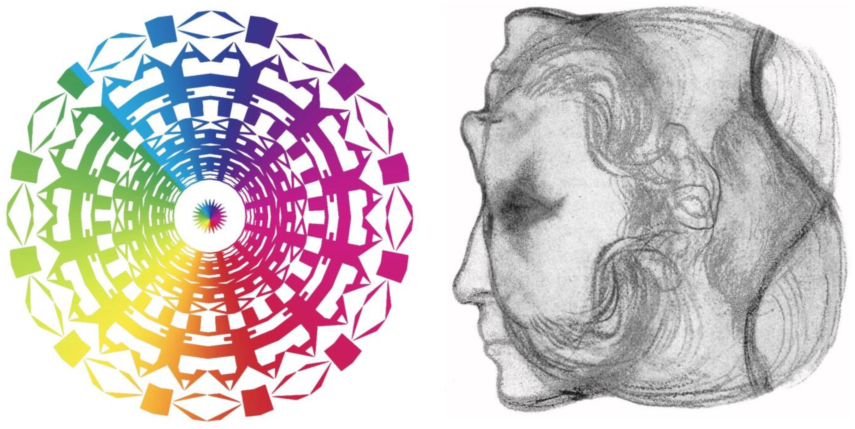 Vision 09 00047 g006