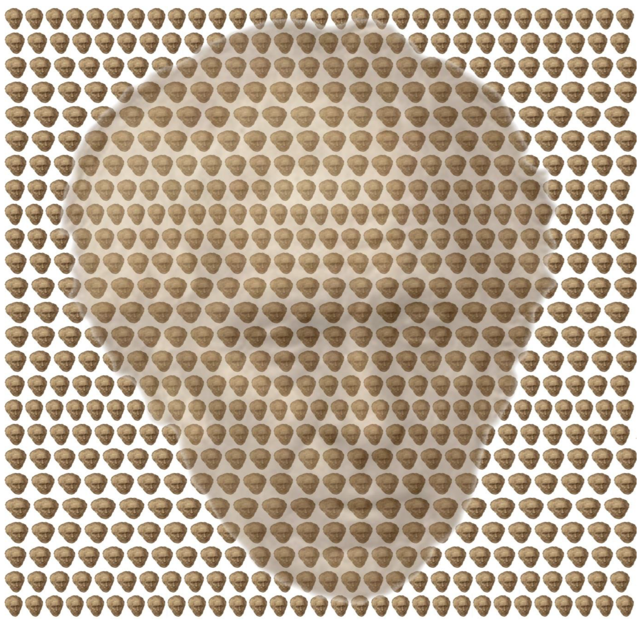 Vision 09 00047 g011