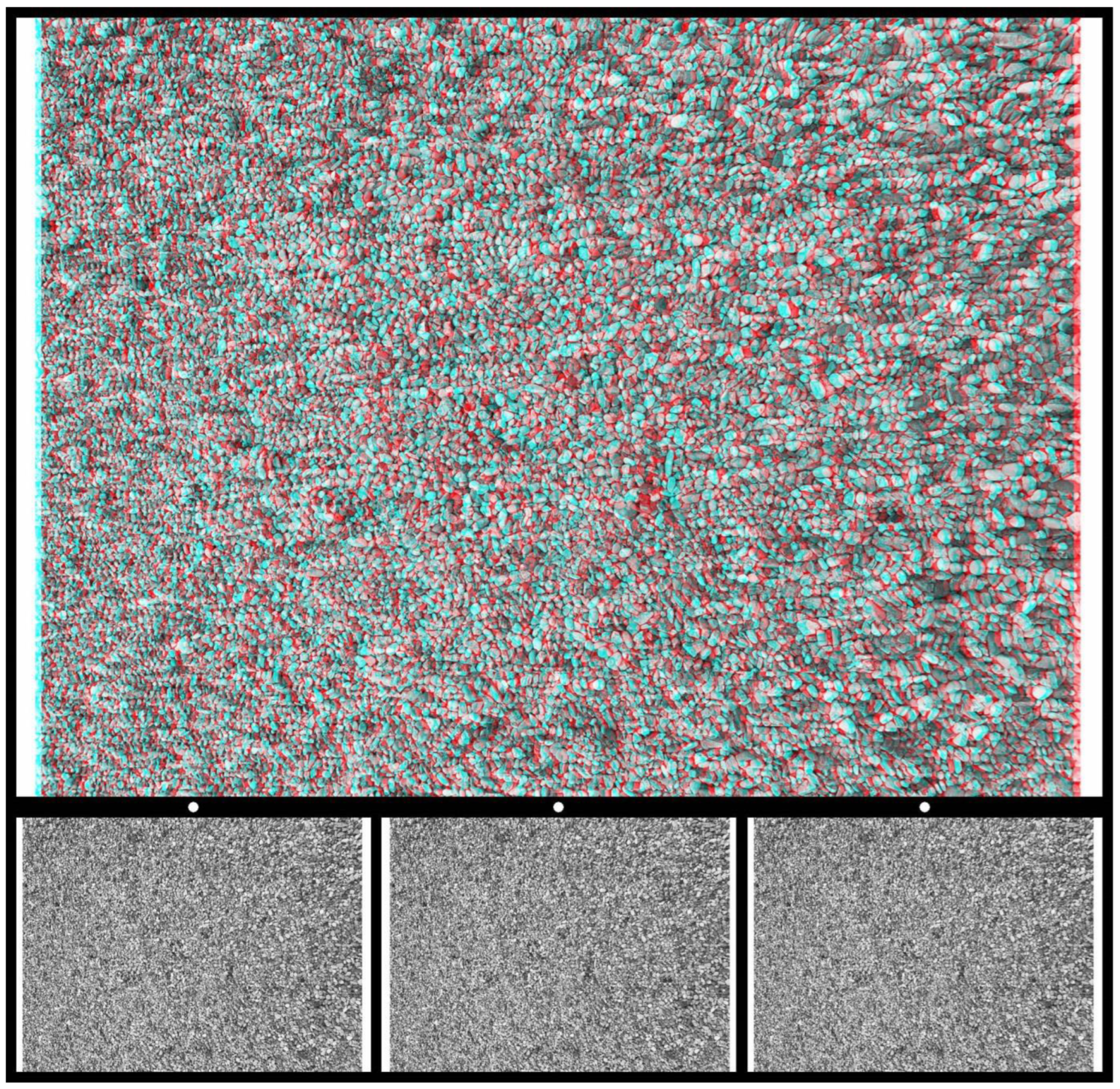 Vision 09 00047 g013