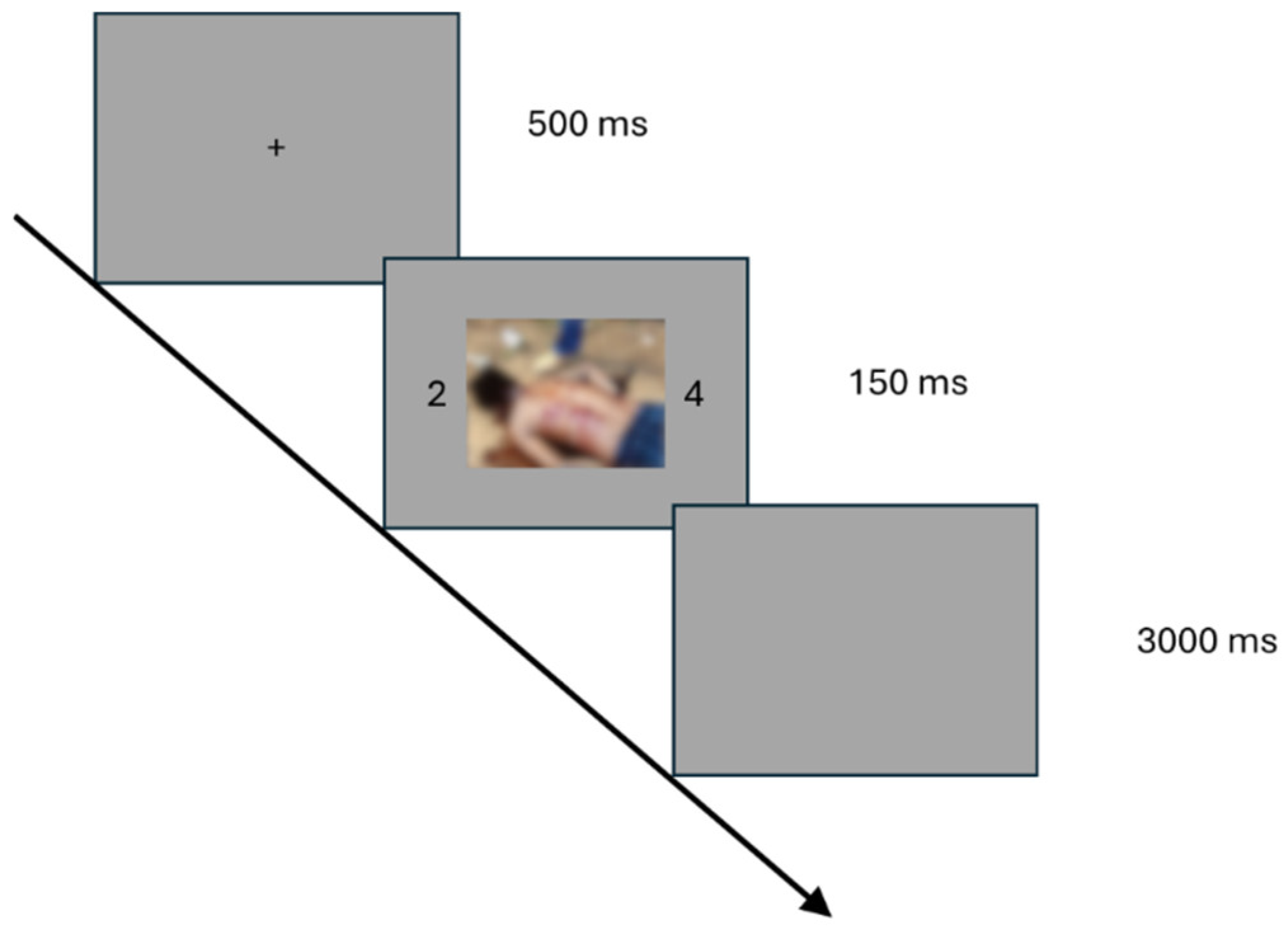 Vision 09 00066 g001