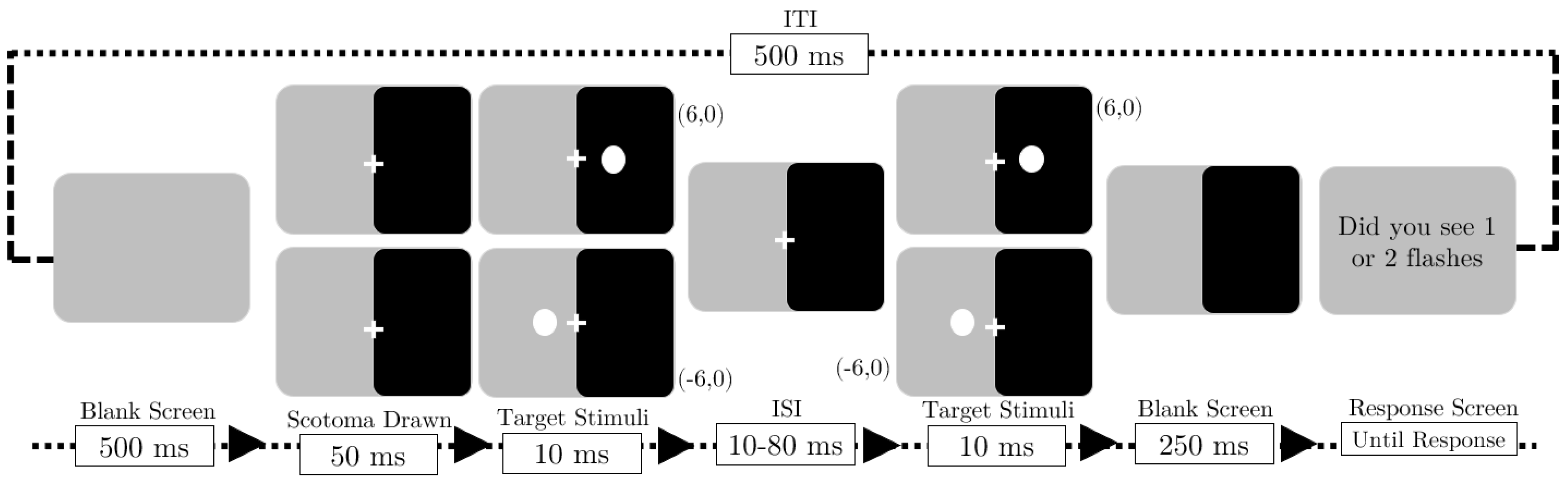 Vision 09 00079 g001