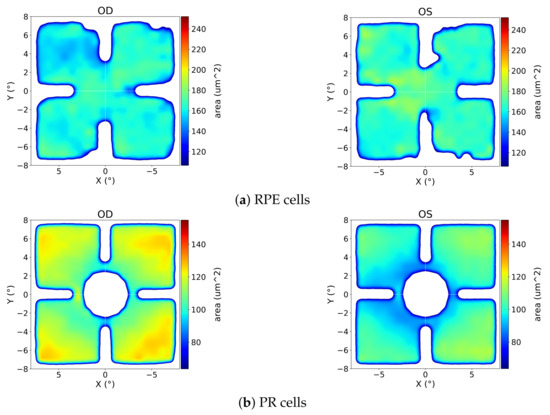 Vision 09 00091 g0a4