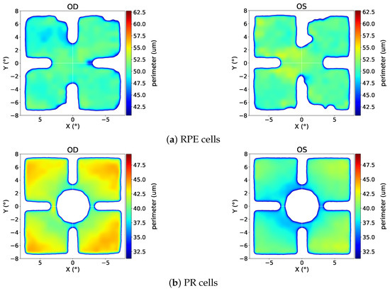 Vision 09 00091 g0a5