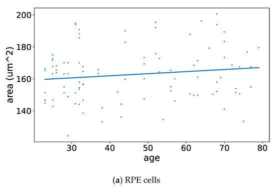 Vision 09 00091 g0a8a