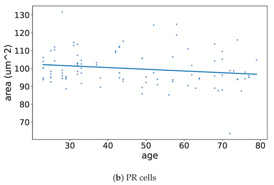 Vision 09 00091 g0a8b