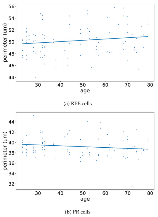Vision 09 00091 g0a9