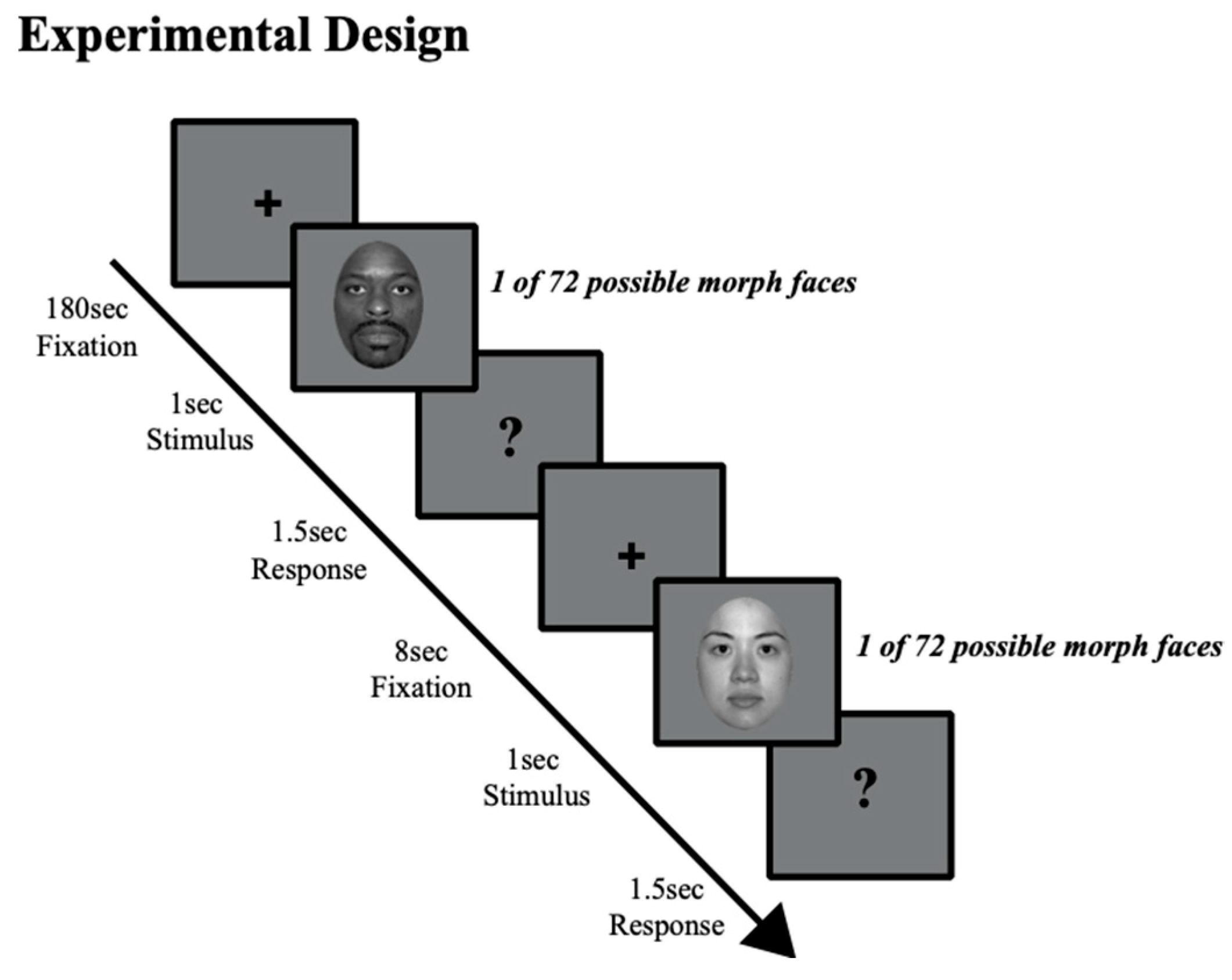 Vision 09 00092 g001