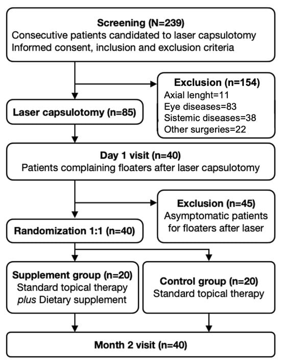 Study protocol and timeline.