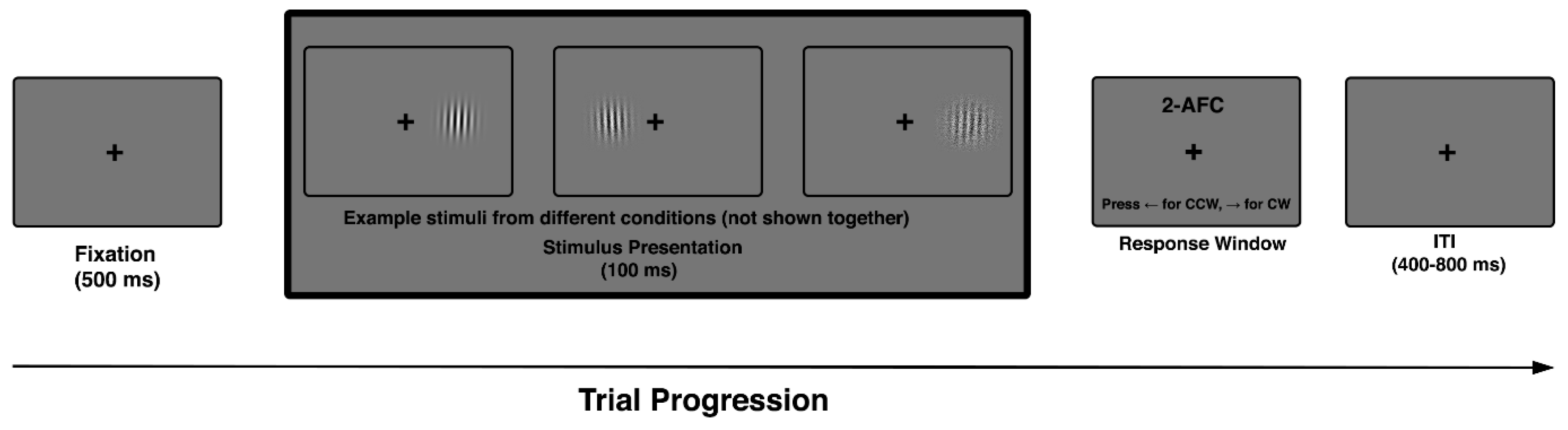 Vision 10 00004 g001 Vision 10 00004 g001