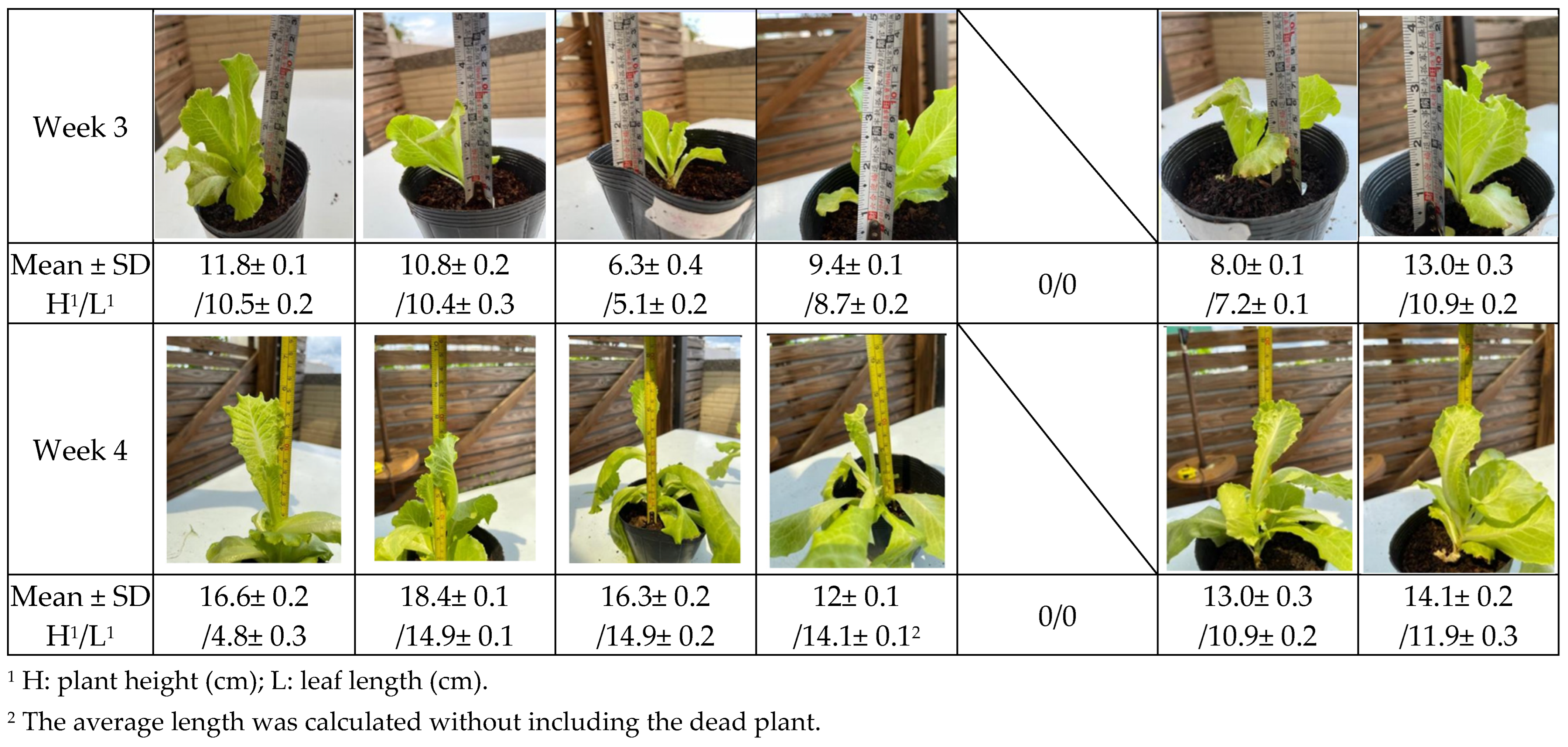 Waste 03 00008 g006b