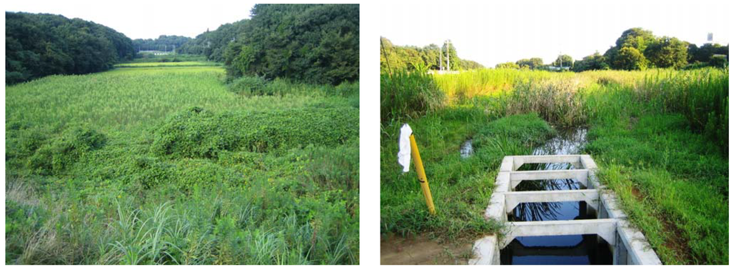 Water 02 00649 g002 1024