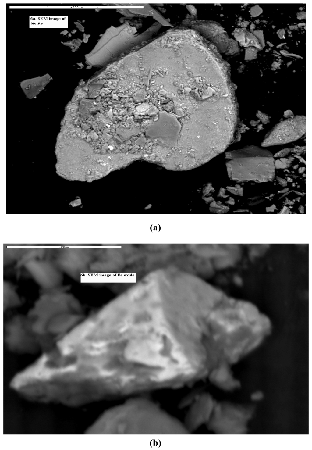 Water 03 01050 g006a 1024