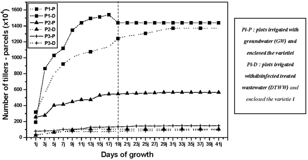 Water 03 01128 g004 1024